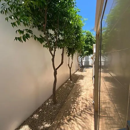 Angel - Exotic 200m From Paralimni