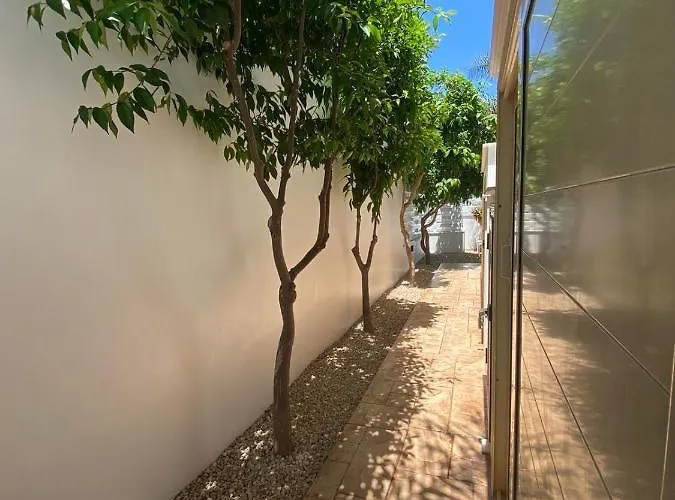 Angel - Exotic 200m From Paralimni